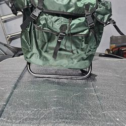 Back Pack/seat Combo (Set of Two)