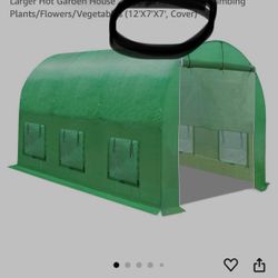 Green House And Boxes