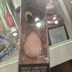 Japondesque Beauty Blenders 