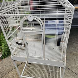 Bird Cage& Supplies