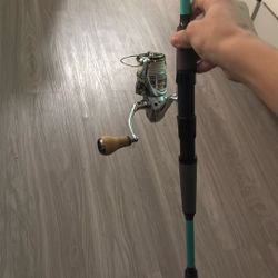 Shimano Sedona, 2500 With Tsunami Seatac Elite Medium Heavy 7 Foot Six