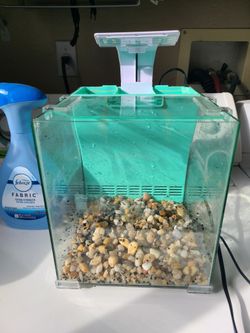 Small Glass Aquarium Fish Tank