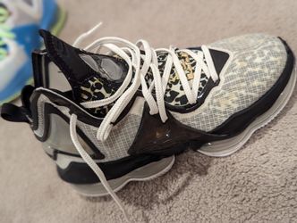 LeBron XIX
