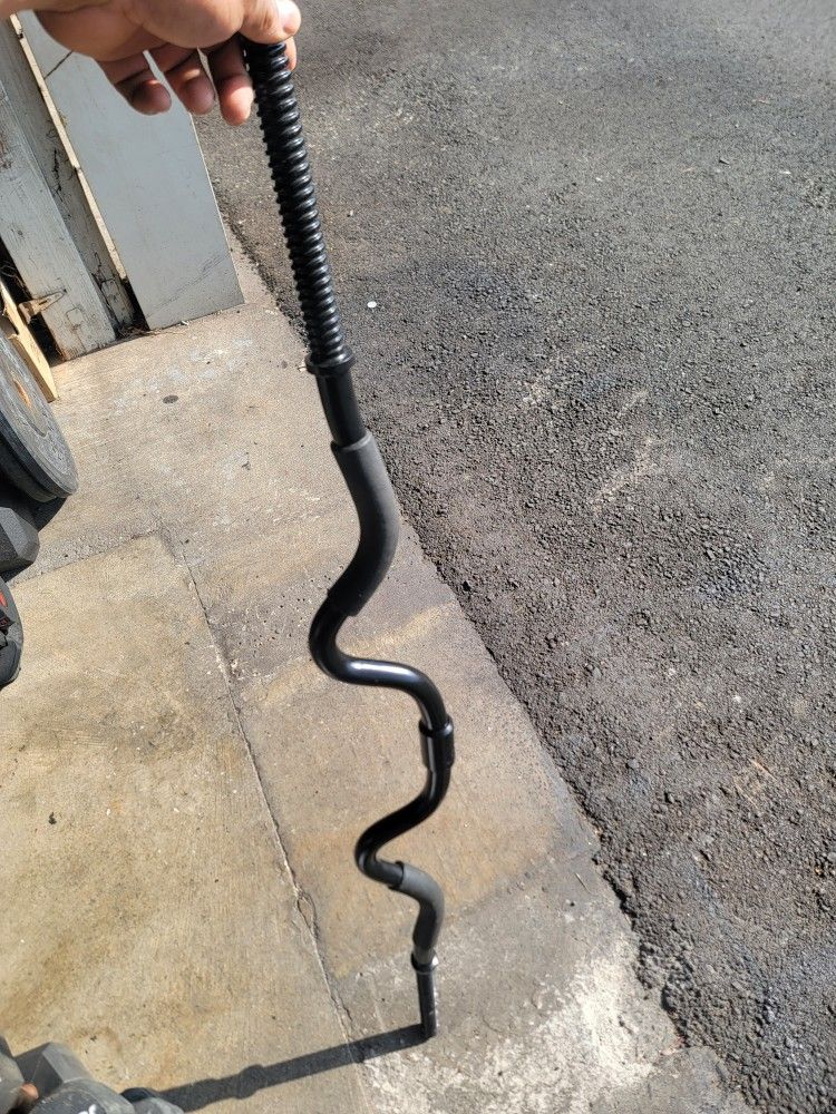 Standard Curl Bar