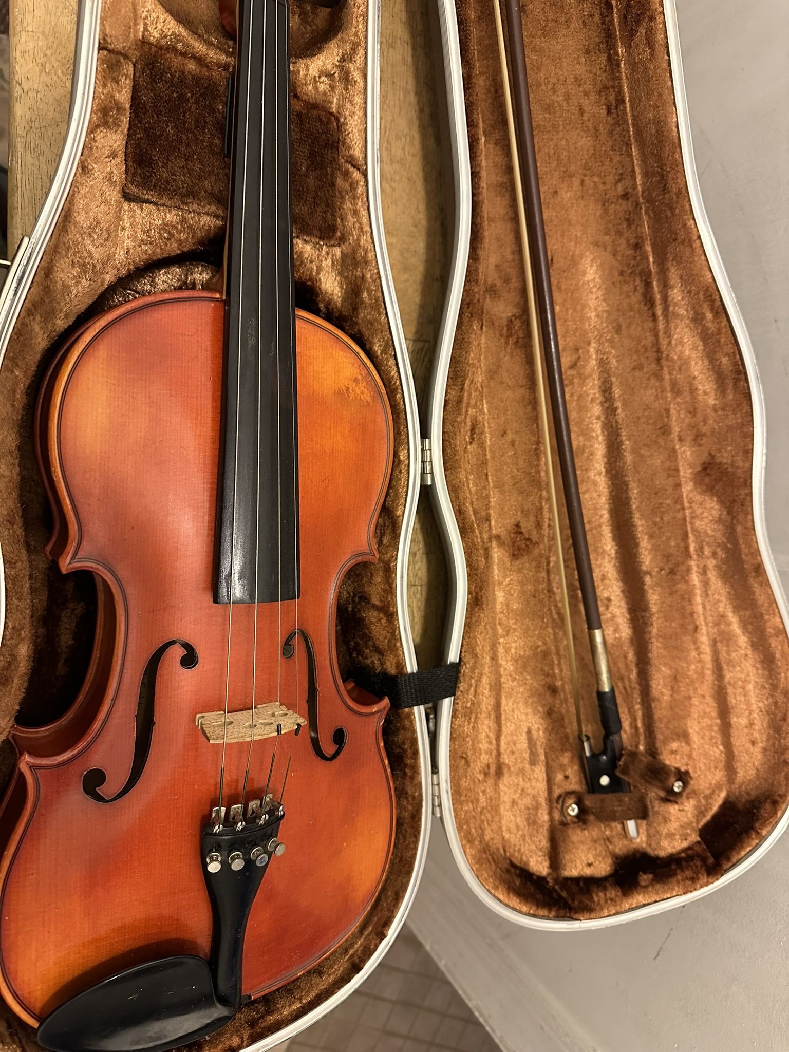 Violin