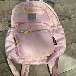 Just Released Disneyland Resort Pink Backpack