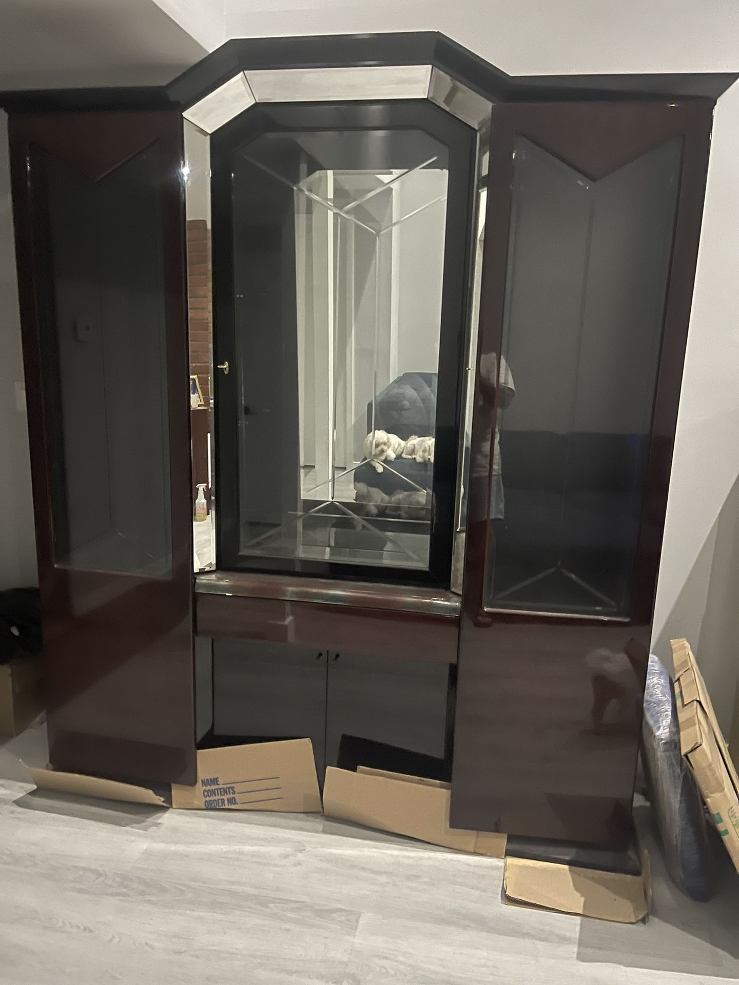 Wall China Cabinet Almost Brand New