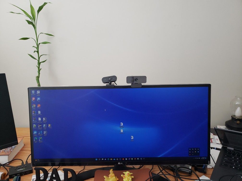LG 34um68 34 Inch Wide Monitor