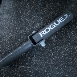 Rogue  Post Land Mine  