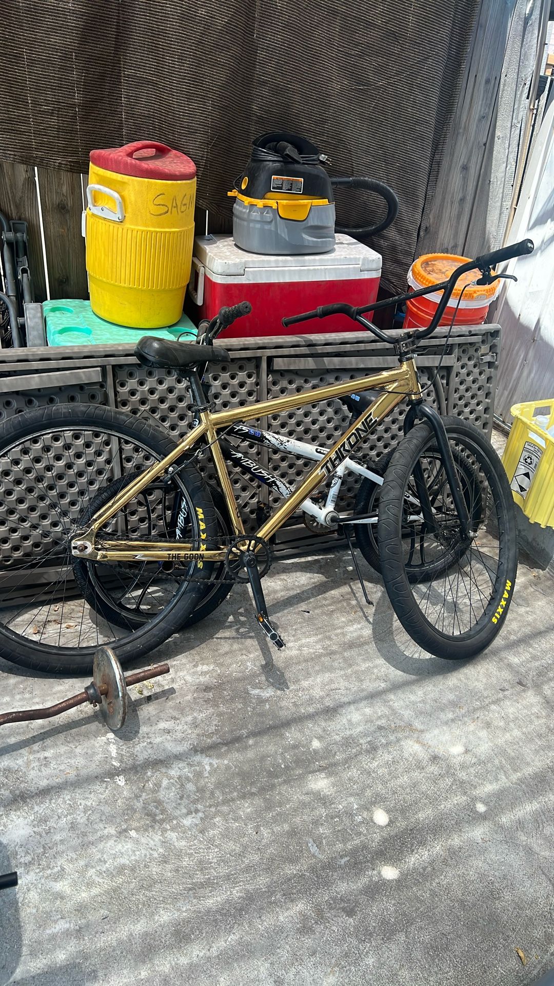 29er Gold Throne