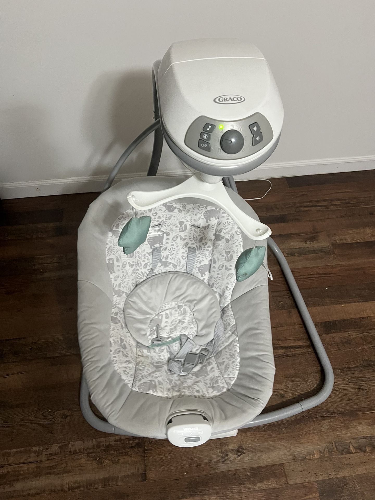 Graco Swing