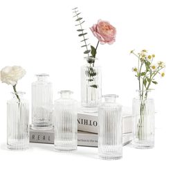 Glass Flower Vases 
