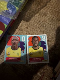 World Cup stickers panini
