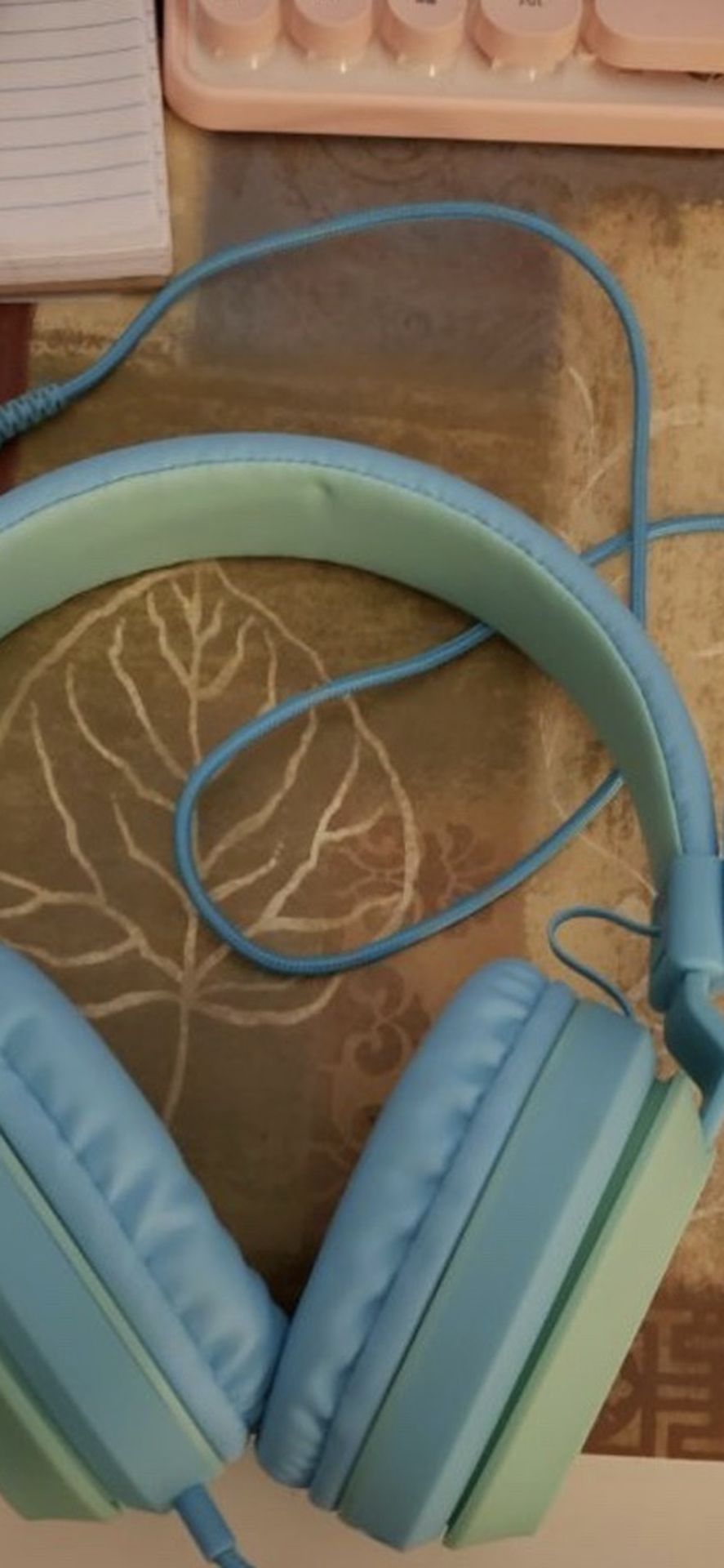 Blue Headphones