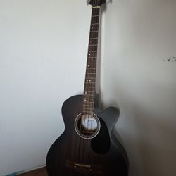 Mitchell Acoustic Bass