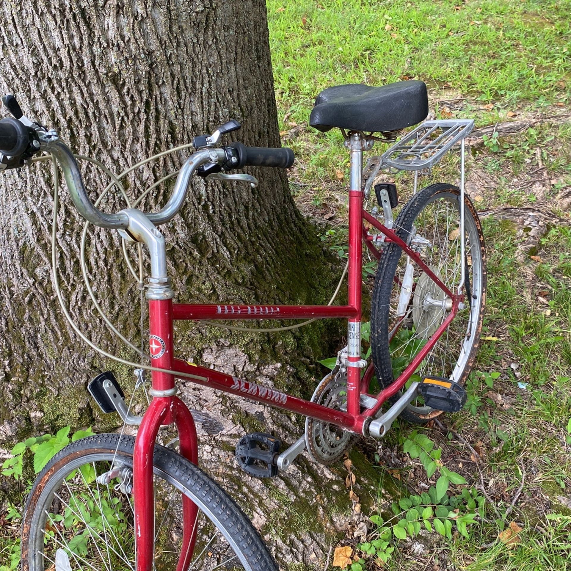 Mesa Runner Schwinn