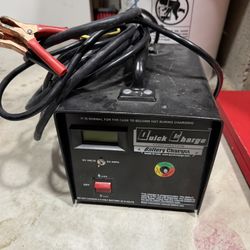 6, 8 Volt battery Charger, Model QP6825