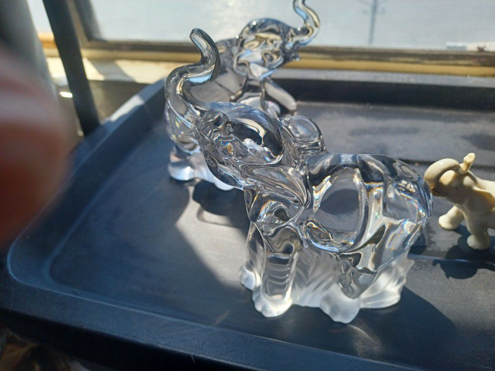 Glass Elephant Collection 