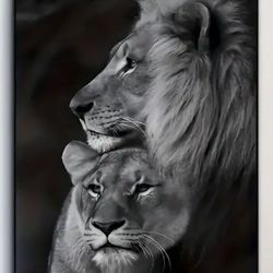 Lion Canvas Poster