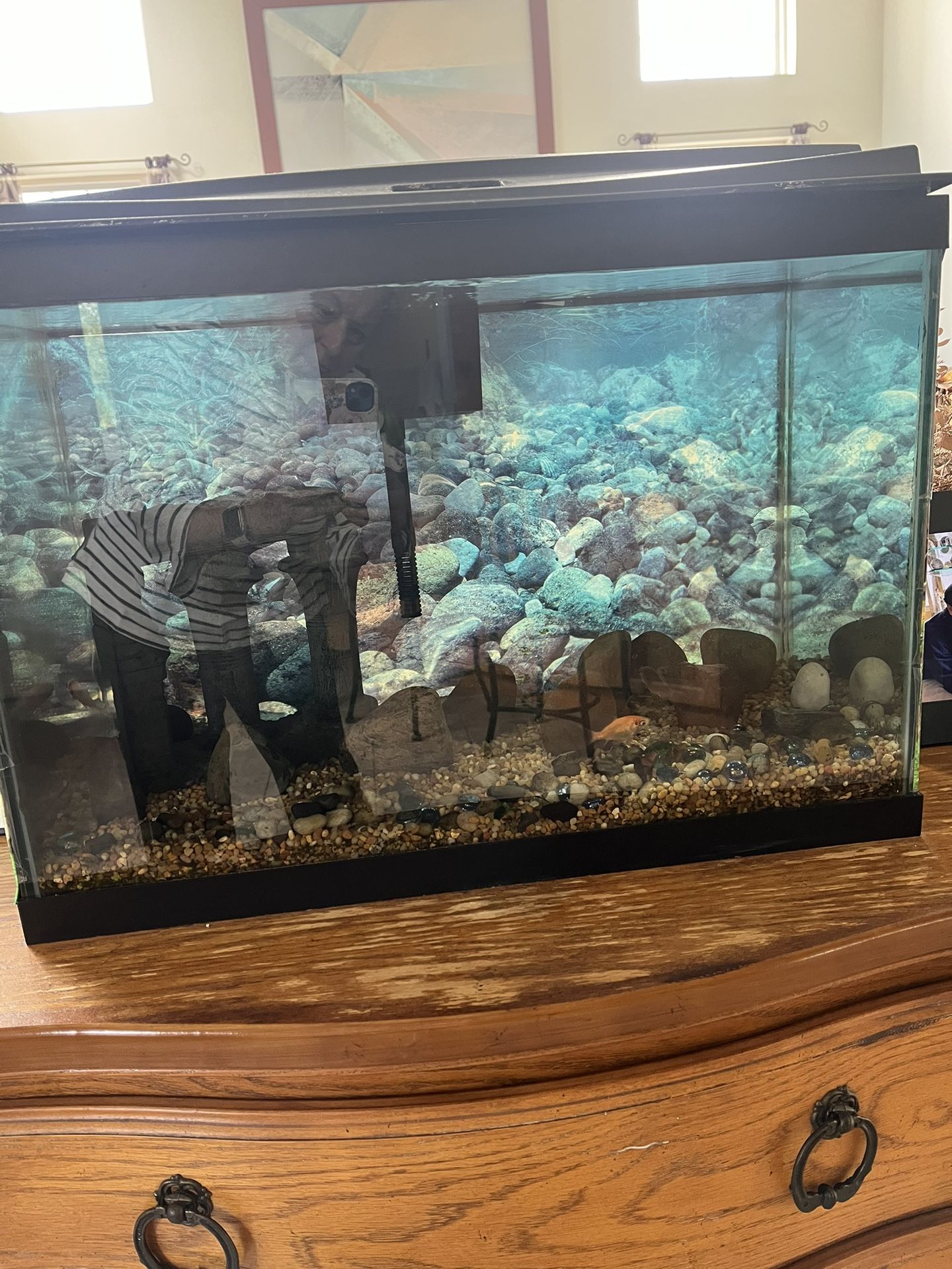 20 Gallon Fish Tank With Accessories