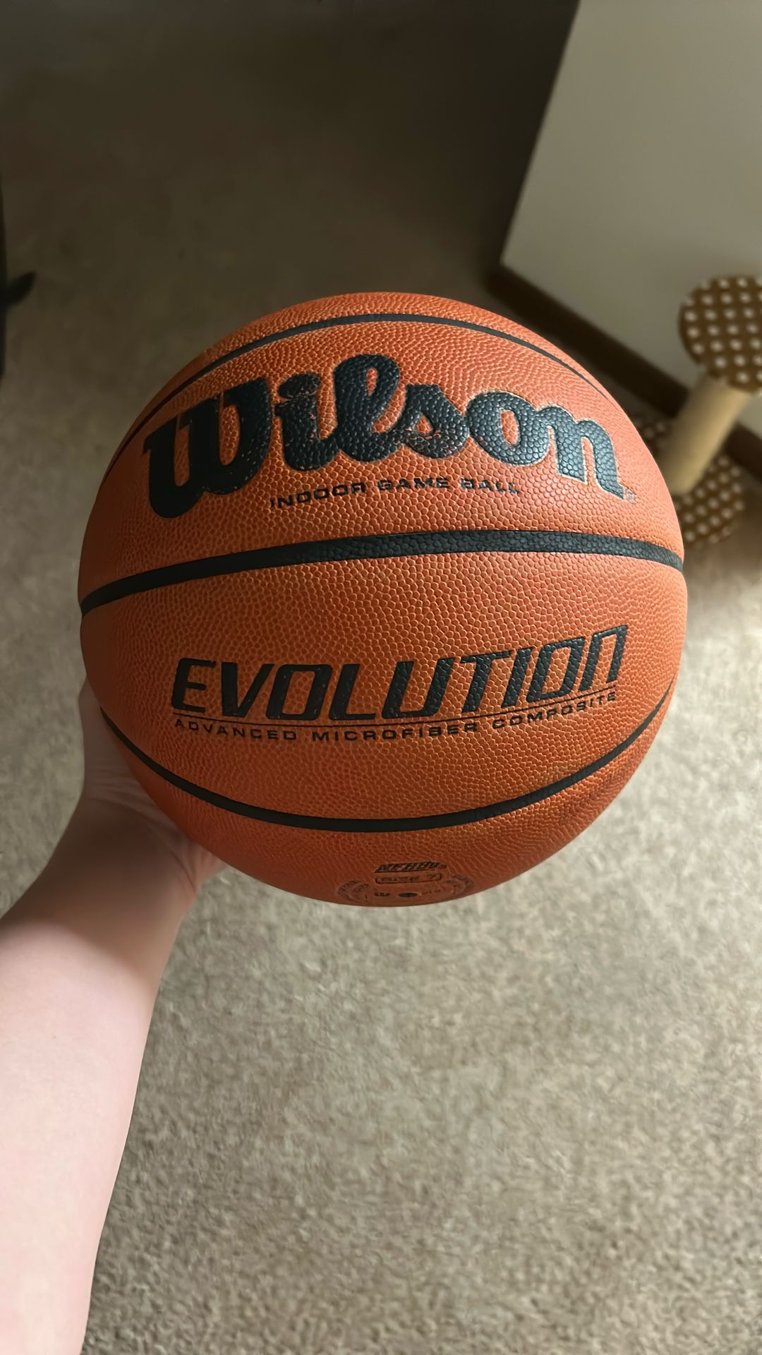 wilson evolution basketball