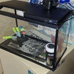 Fish Tank with 10G Filter - 16" x 8" x 10" size