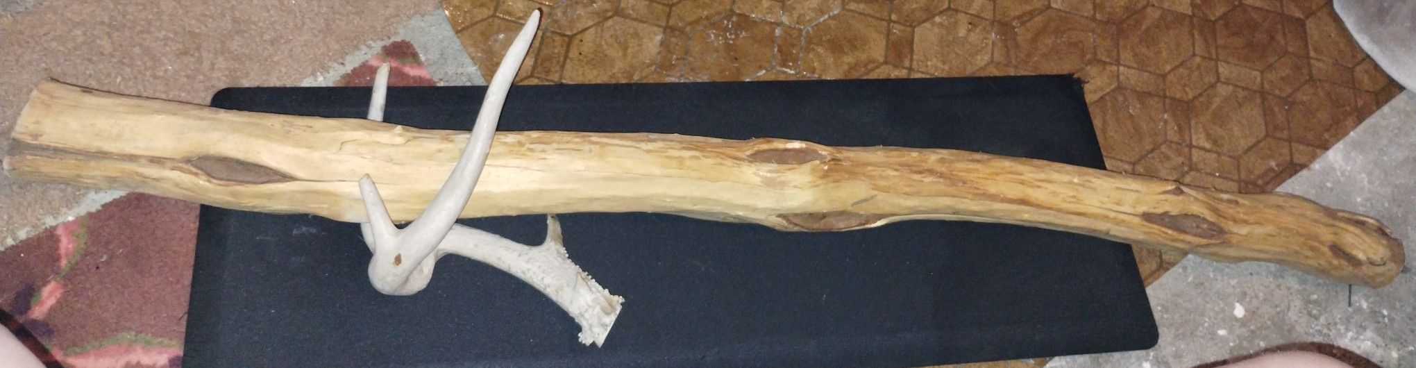 Alaskan King 5 Ft Long By 3 Inches Wide