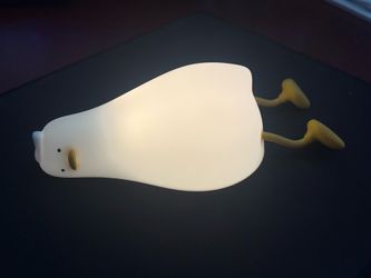 Duck Lamp