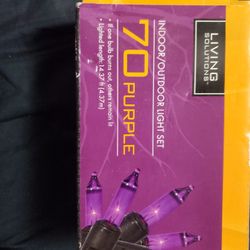 Purple Halloween Light Set