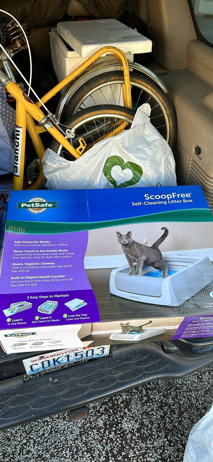 Self Cleaning Kitty Litter Box