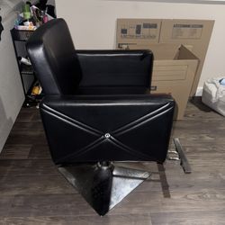 Salon Chair