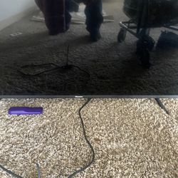 Hassen Flatscreen T.V.  (used)