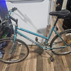 10 Speed Bike