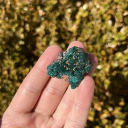 Dioptase Crystal Specimen, Republic of Congo (B)