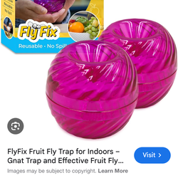 Flyfix blue pink purple  trap