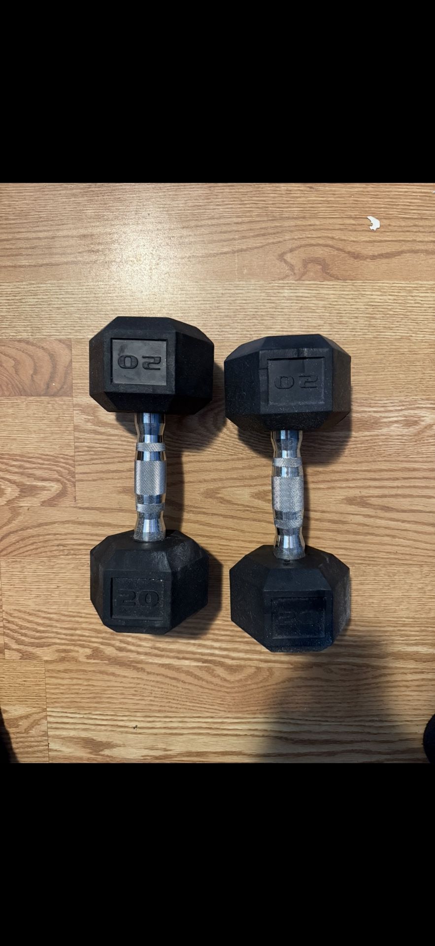 20 Lb Dumbbell Set