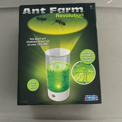 Ant Farm 