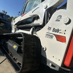 Bobcat 