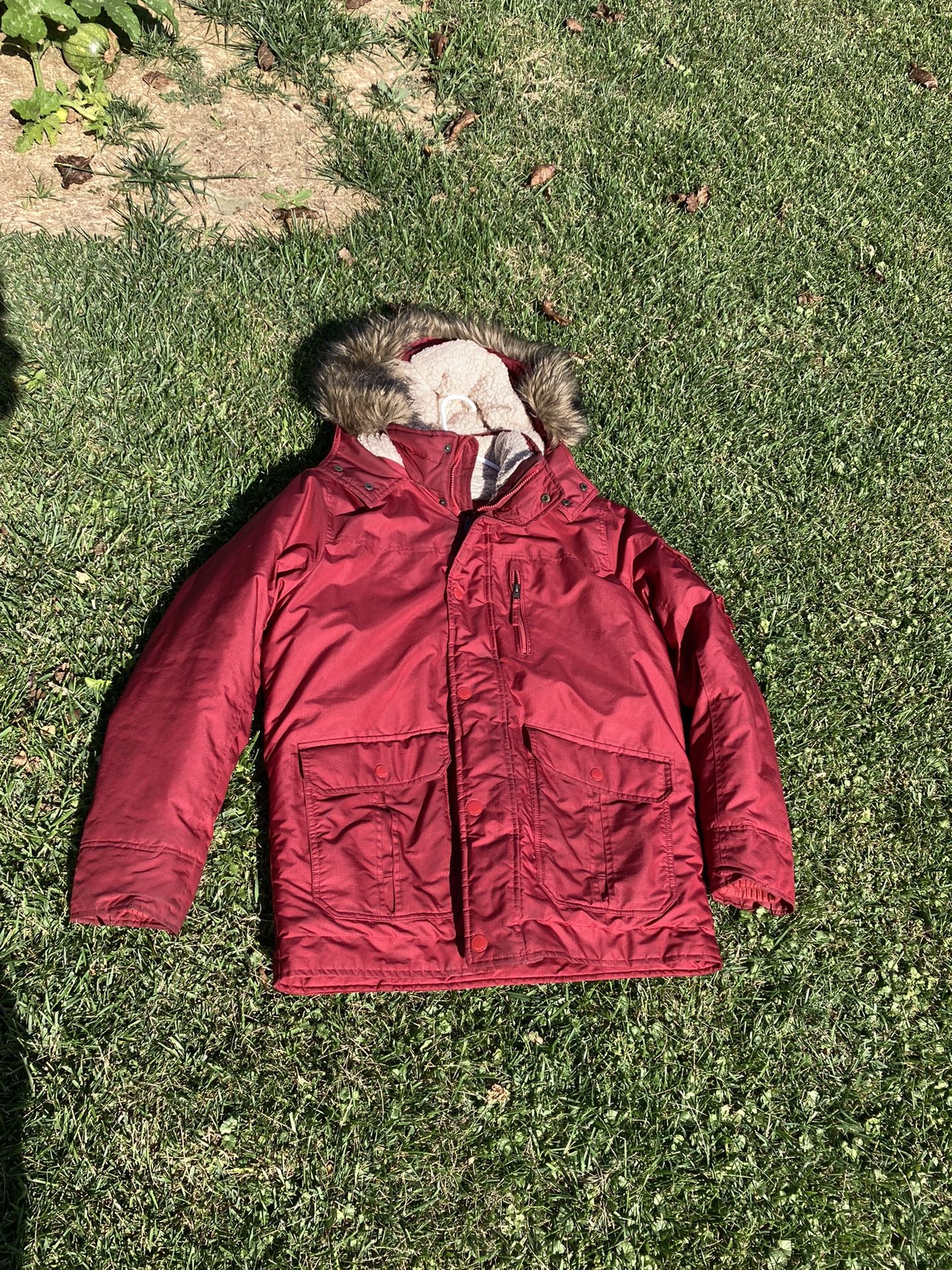 Hollister Coastal Trail Parka