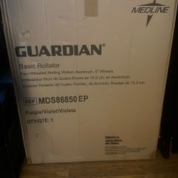 Medline Guardian Walker With Seat