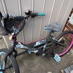 Youth Bike 