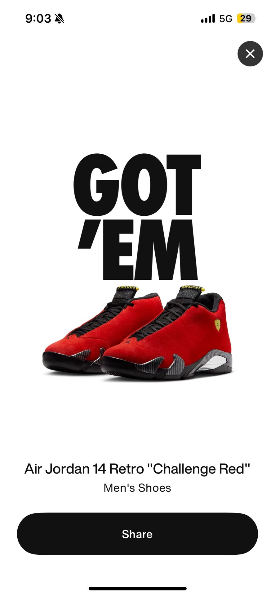 New Jordan 14s