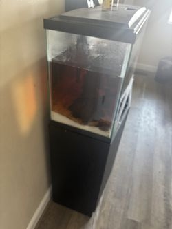 Fish Tank W Stand