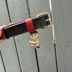 COACH DOG COLLAR