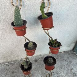 Plants Holder Set 25 Dlrs