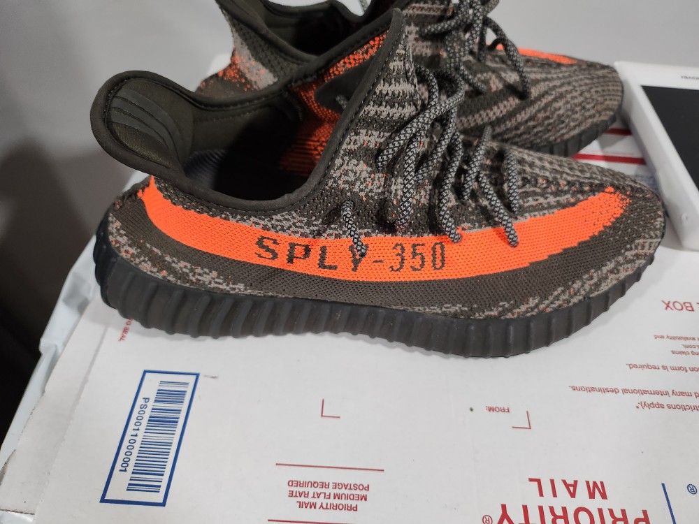 Yeezy BELUGA SIZE 11