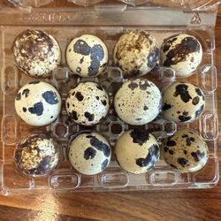 Quail Eggs From Organic Fed Quail