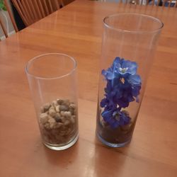 Glass Vases
