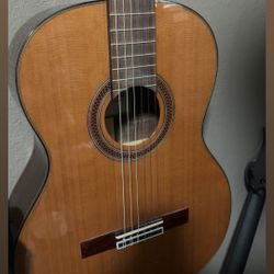Cordoba C7 CD Classical Acoustic Guitar Natural