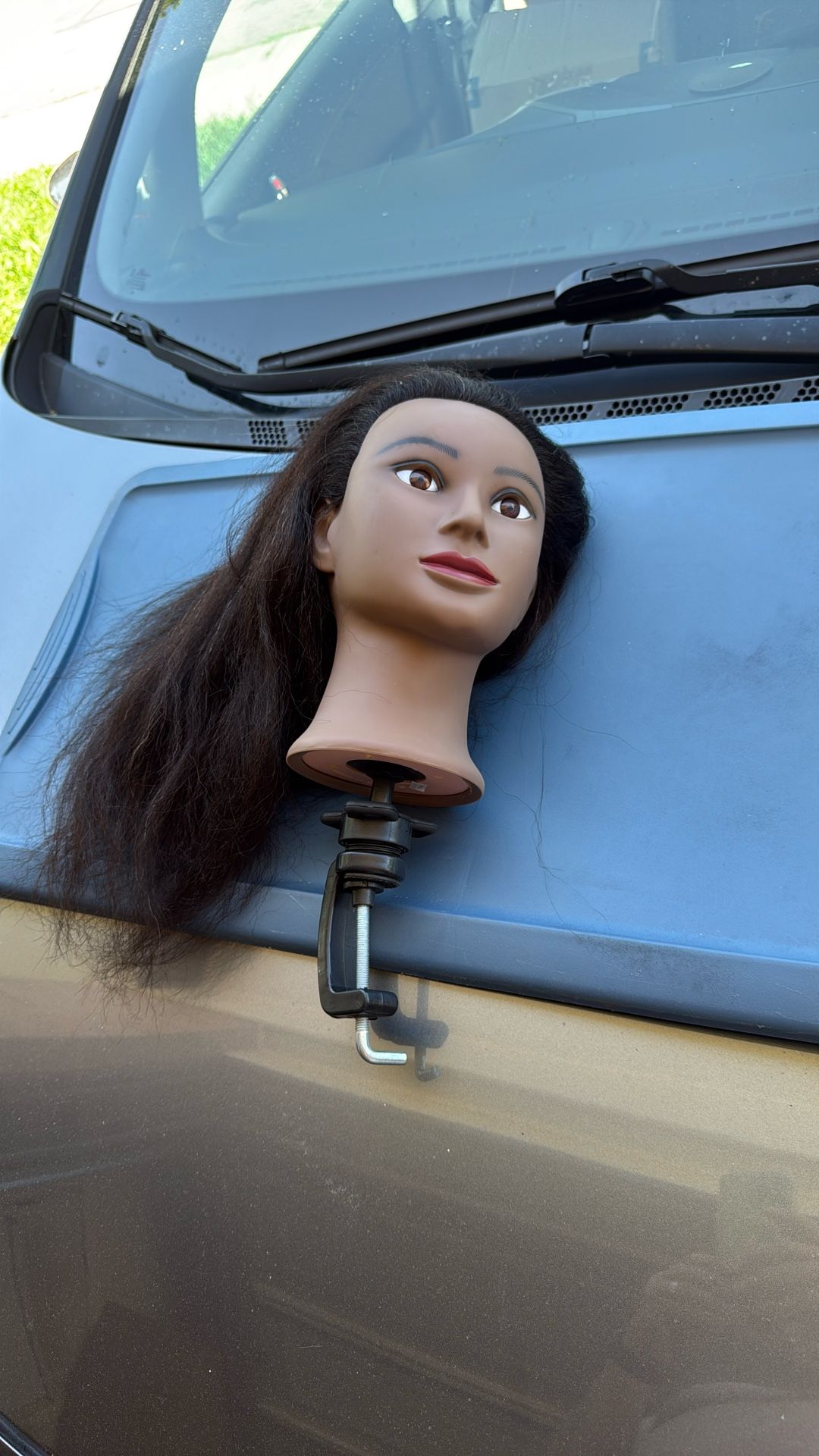 Mannequin Head